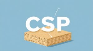 Как расшифровывается цсп